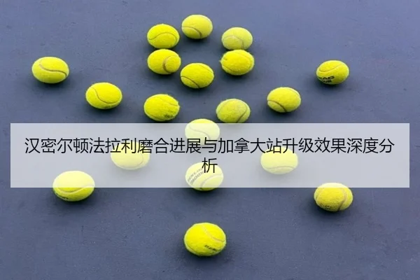 han-mi-er-dun-fa-la-li-mo-he-jin-zhan-yu-jia-na-da-zhan-sheng-ji-xiao-guo-shen-du-fen-xi-2-653.jpg